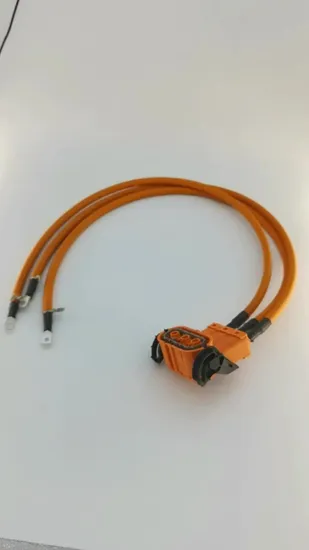 Premium Custom 200A Energy Storage Power Connection Wire Harness Processing 