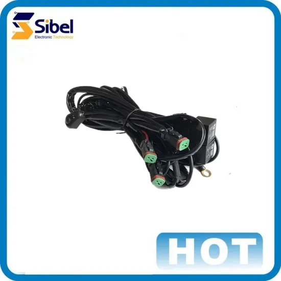 OEM Supplier Racing Motorcycle Car Horn Wire Harness Automobile off Road Wiring Harness 