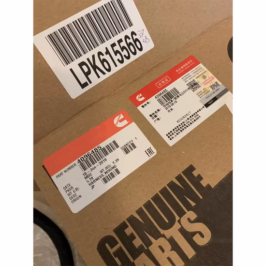 Cummins Engine Part Harness Wiring 4095742/4096351/4096485 for Qsk23 Engine