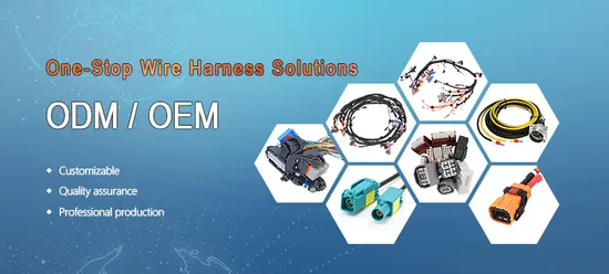 Customize 76 Pin Female Connector Automotive Engine Ecm Wire Harness 