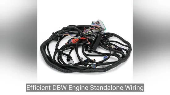 Premium Dbw Engine Wiring Harness for Enhanced Performance 